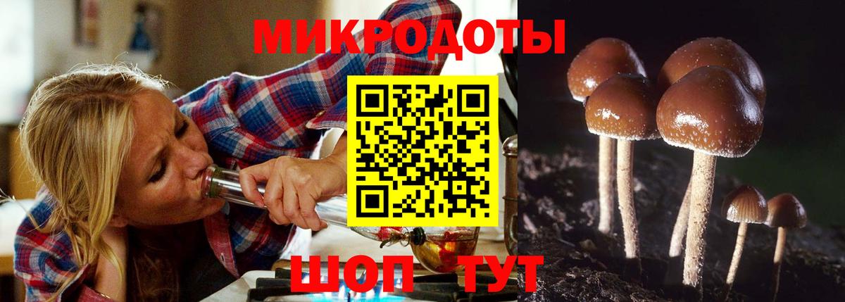 Галлюциногенные грибы Psilocybine cubensis  Вход с VPN  Галлюциногенные грибы GOLDEN TEACHER  Белая Калитва 